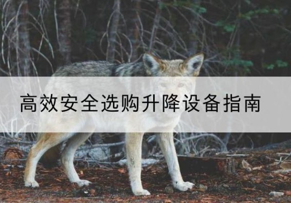 贡嘎升降货梯厂家推荐-*安全选购升降设备指南