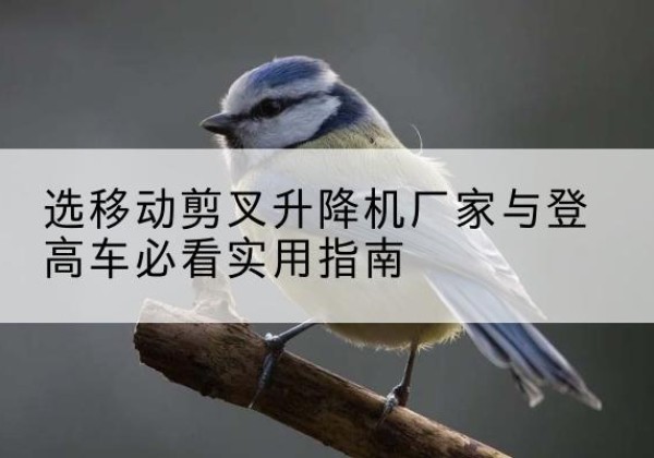 贡嘎电动升降机厂家-选移动剪叉升降机厂家与登高车必看实用指南